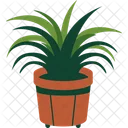 Spider Plant Icon
