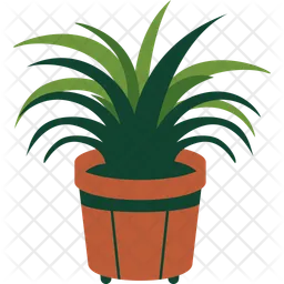 Spider Plant  Icon