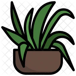 Spider Plant  Icon