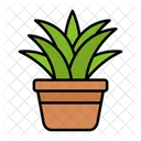 Plant Nature Indoor Plant Icon