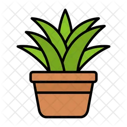 Spider Plant  Icon