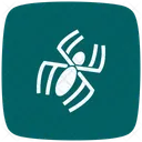 Spider Spiderweb Virus Icon