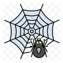Halloween Spider Spiderweb Icon