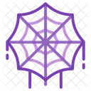 Web Spider Cobweb Icon