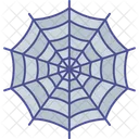 Spider Out Spider Drawing Cobweb Icon