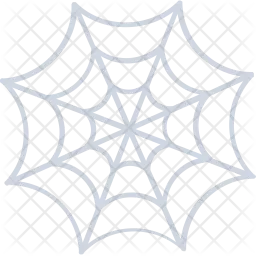 Spider Web  Icon