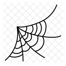 Spider Web  Icon