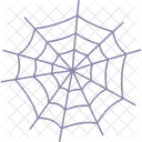 Spider Web Cobweb Spider Icon