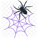 Spider Web Pumpkin Witch Icon