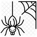 Spider Web  Icône
