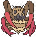 Spiders Arachnid Insect Icon