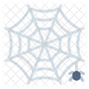 Spiderweb Spider Web Icon