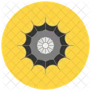 Spiderweb Web Spider Icon