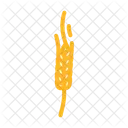 Spikelet Yellow Wheat Icon
