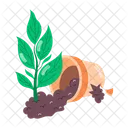 Herb Stickers Herbal Therapy Spices Icon