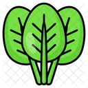 Spinach Vegetable Leafy Icon