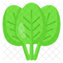 Spinach Vegetable Leafy Icon