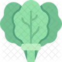 Spinach Salad Vegetable Icon
