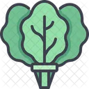 Spinach Salad Vegetable Icon