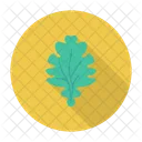 Spinach Vegetable Leaf Icon