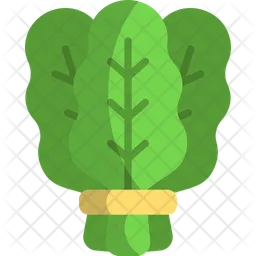 Spinach  Icon