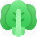 Spinach Vegetarian Vegetable Icon