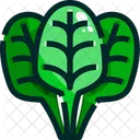 Spinach Leaf Leaves Icon