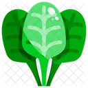 Spinach Leaf Leaves Icon