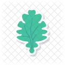 Vegetable Leaf Spinach Icon