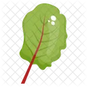 Spinach Leaf Spinach Vegetable Icon