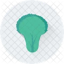 Spinach Lettuce Vegetable Icon
