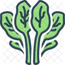 Spinach Leafy Green Icon