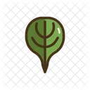 Spinach Vegatable Plant Icon