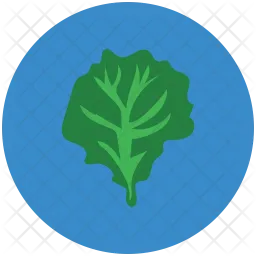 Spinach  Icon