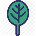 Spinach Food Plant Icon