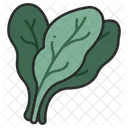 Food Healthy Spinach Icon