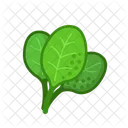 Spinach Vegetables Vegetarian Icon
