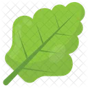 Spinach Leaf Edible Icon