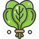 Spinach  Symbol