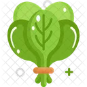 Spinach Vegetable Vegetarian Icon