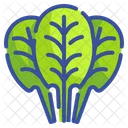Spinach Vegetable Food Icon