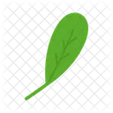 Spinach Green Foliage Icon