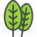 Spinach Leaves Leaf Icon
