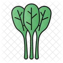 Spinach Green Leaves Icon