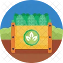 Bio Food And Agriculture Spinach Vegetables Icon