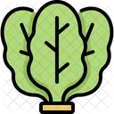 Spinach Vegetable Fiber Icon
