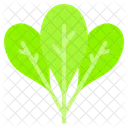 Spinach Organic Healthy Icon