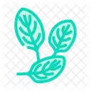 Spinach Granules Leaf Icon