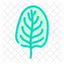Spinach Granules Leaf Icon
