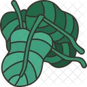 Spinach Vegetable Leaves Icon